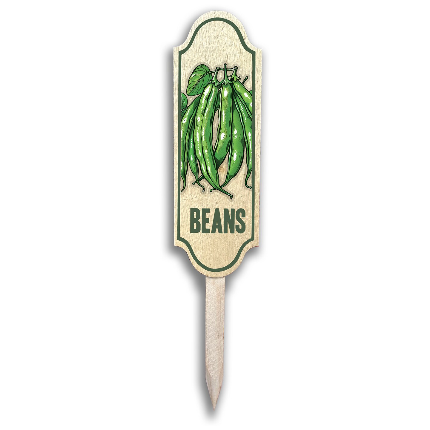 Colorful Vegetable Wood Garden Markers