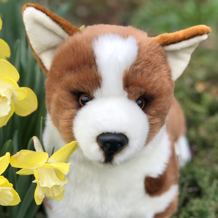 Cuddle Up with Pembroke Our Adorable 17 inch Plush Corgi for Endless Snuggles and Fun Michaels