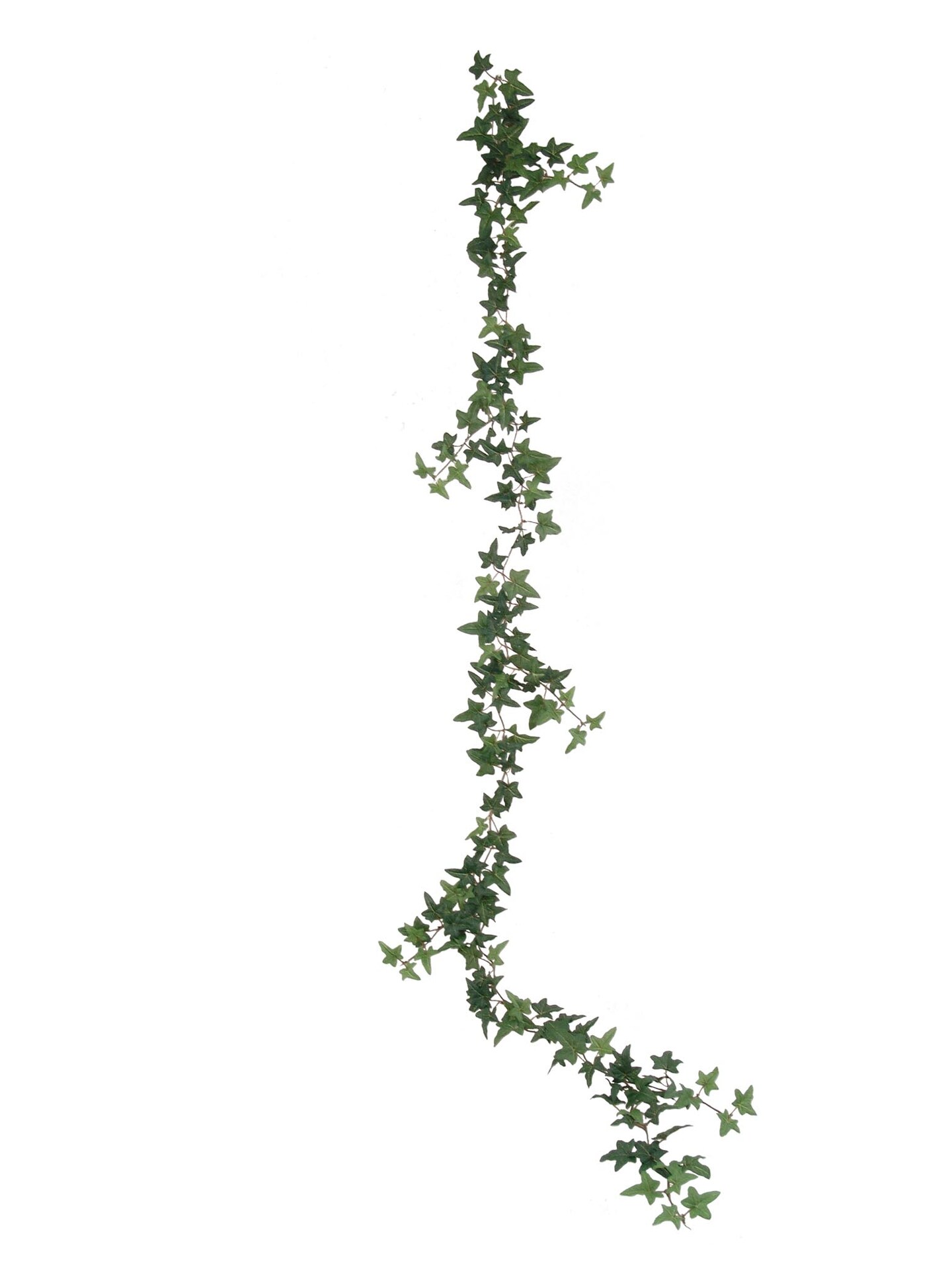 12-Pack: 6ft Mini English Ivy Garland with 174 Silk Leaves by Floral Home&#xAE;
