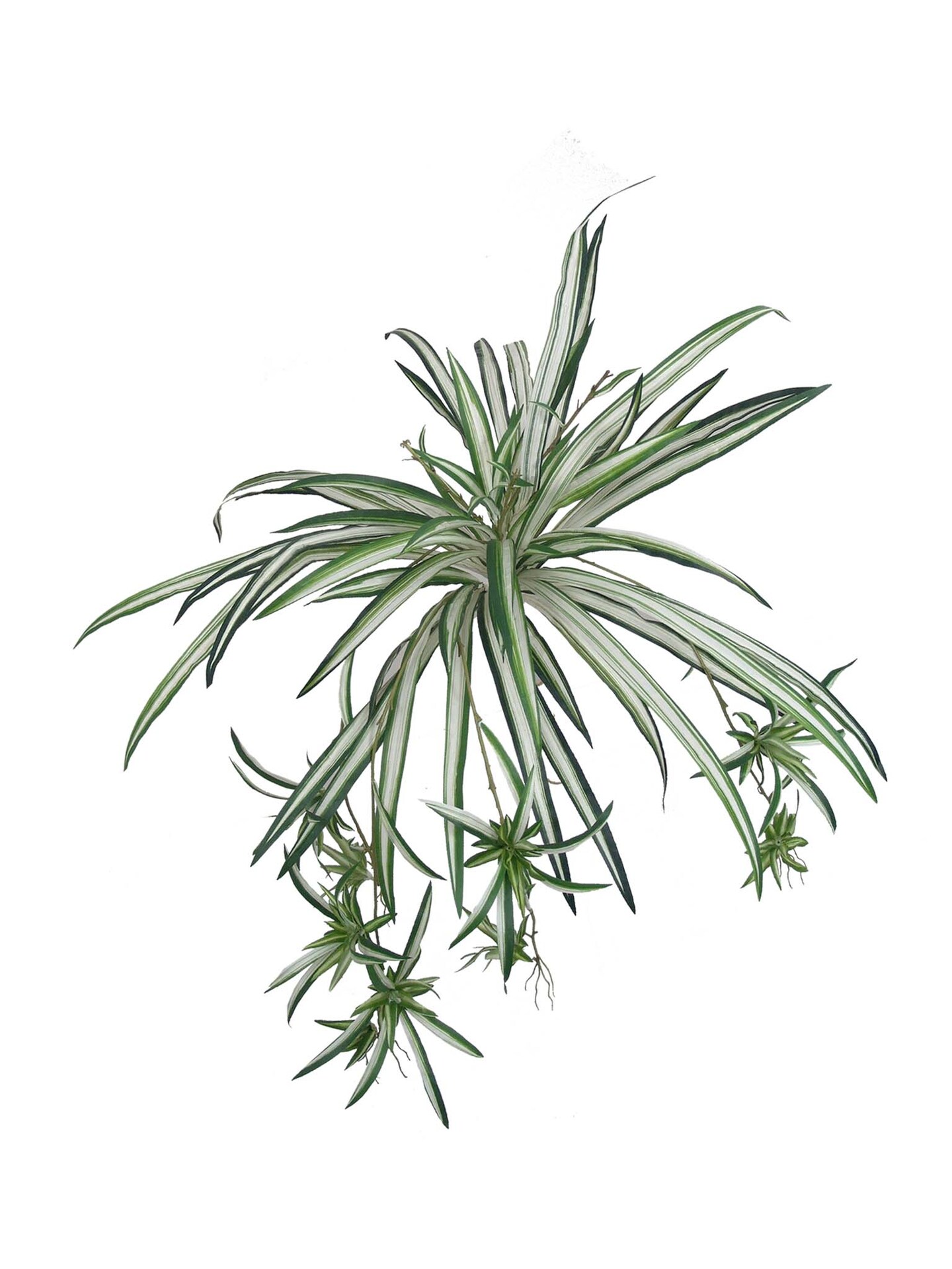 Spider Fern Plant with 60 Lifelike Silk Fronds, 32" Wide, Faux Greenery by Floral Home®