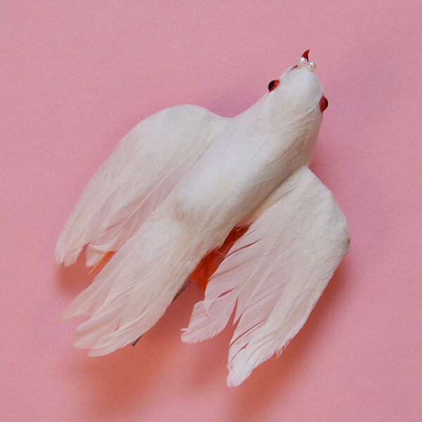 Serene White Dove Bird Accent Decor 4 1/2" x 3 3/4" Real Feathers