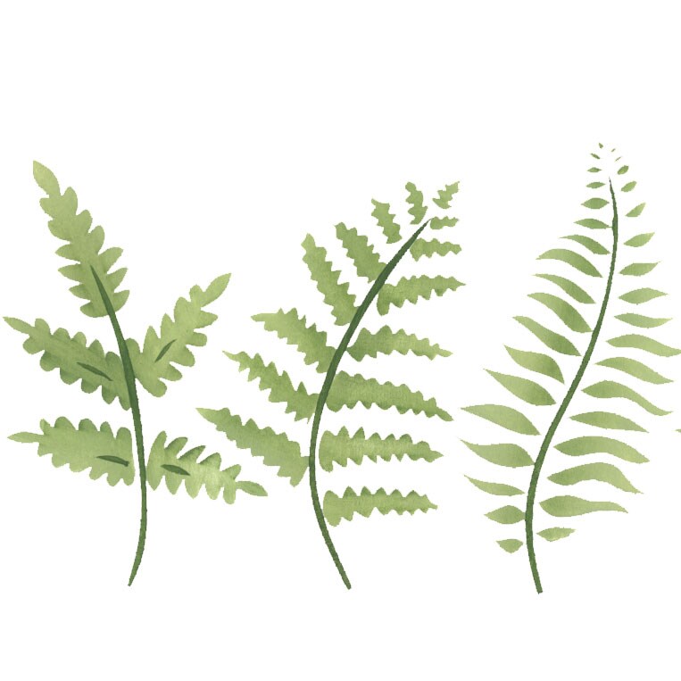 Fern Leaves Wall Stencil | 995 by Designer Stencils | Floral Stencils | Reusable Easy to Use & Clean Art Stencil