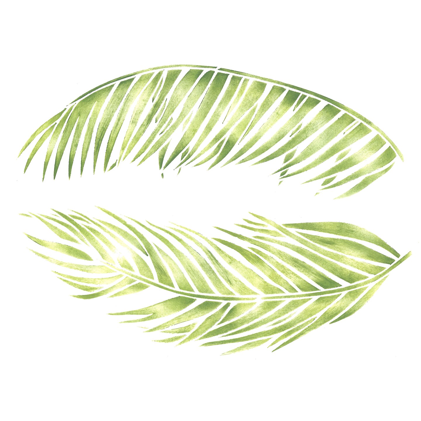 Palm Leaf Set Wall Stencil | 3803 by Designer Stencils | Floral Stencils | Reusable Art Craft Stencils for Painting on Walls, Canvas, Wood | Reusable Plastic Paint Stencil for Home Makeover | Easy to Use &#x26; Clean Art Stencil