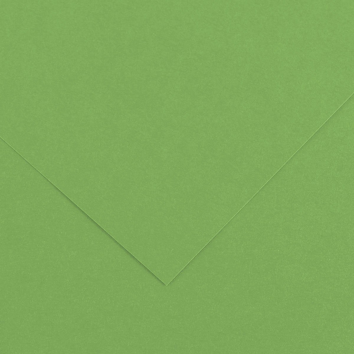 Canson Colorline Art Paper - 19&#x22; x 25&#x22;, 150 gsm, Bright Green