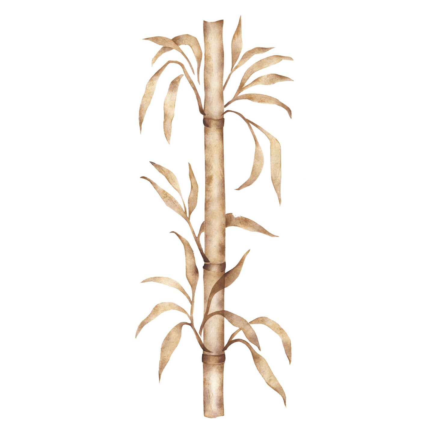 Bamboo Wall Stencil | 3024 by Designer Stencils | Reusable Art Craft Stencils for Painting |
