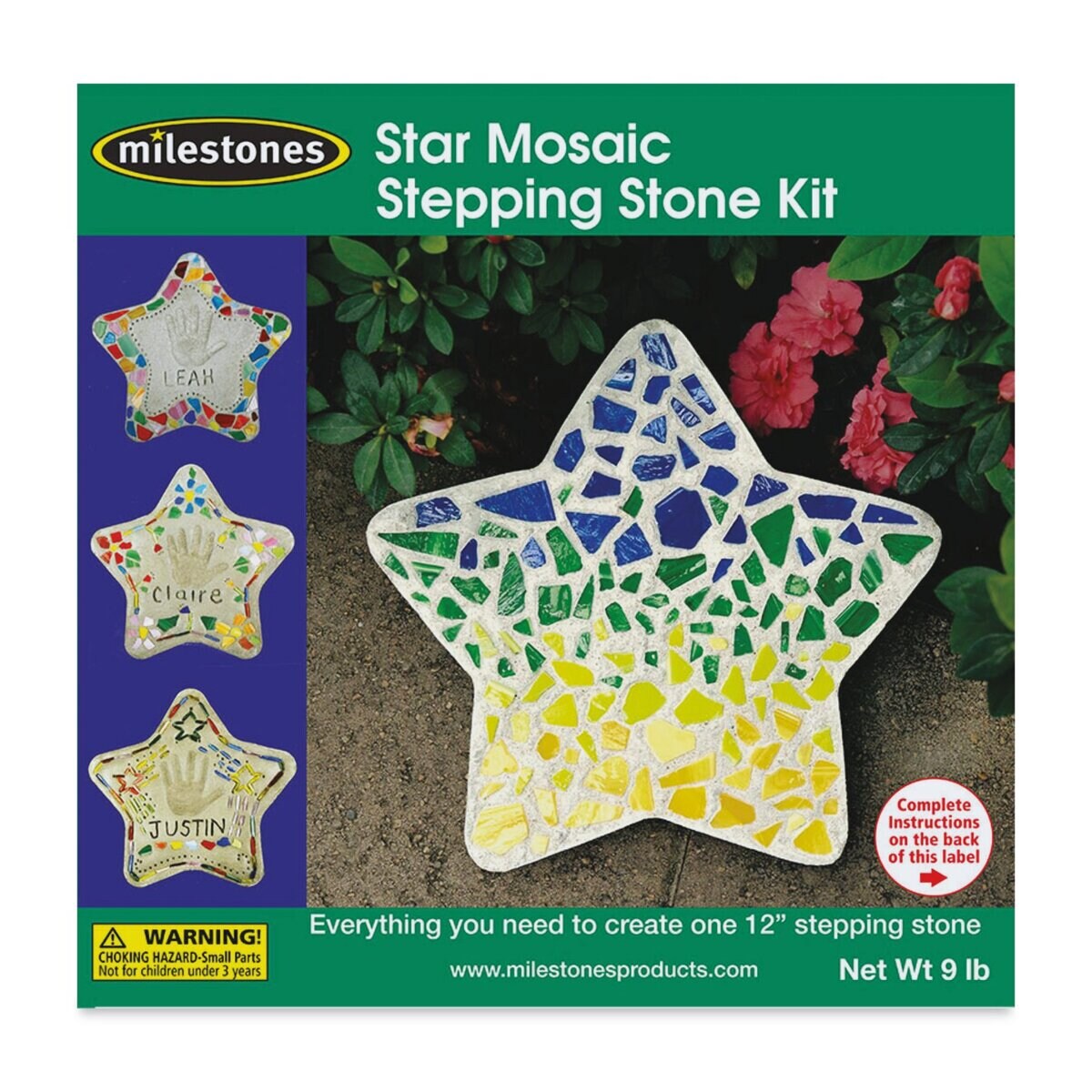 Milestones Mosaic Stepping Stone Kit - Star