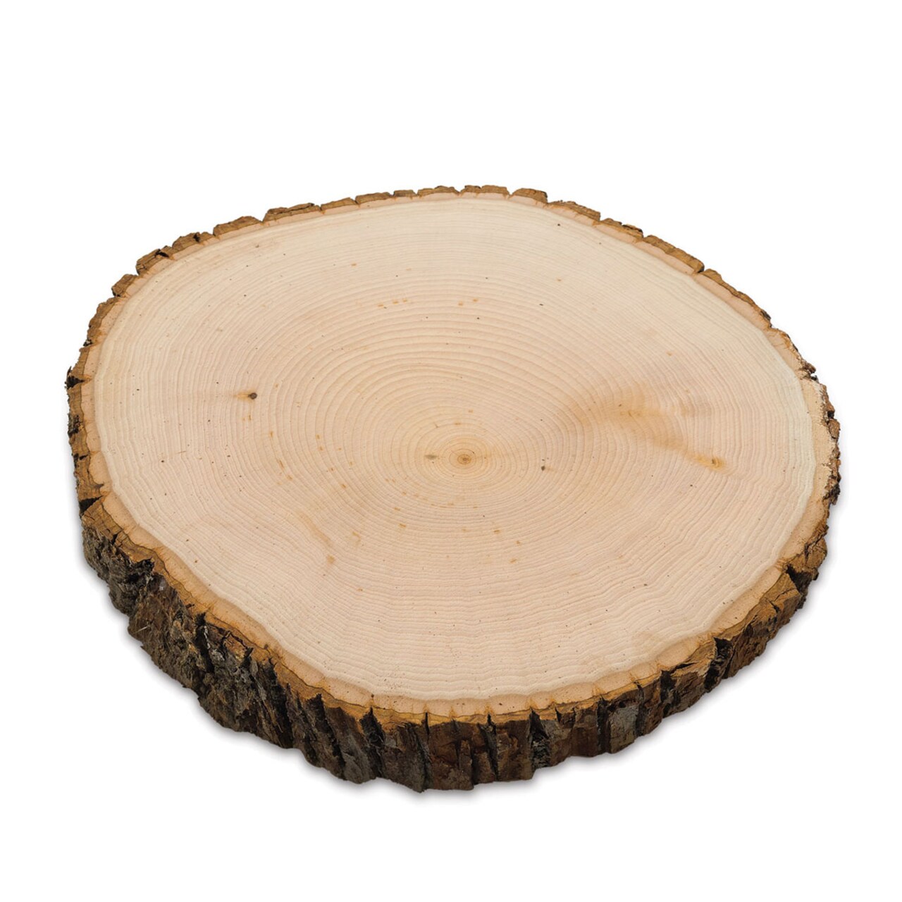 Walnut Rounds Walnut Hollow Basswood Rounds - Thick | Michaels