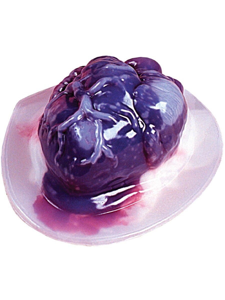 Human Heart Shaped Gelatin Mold Decoration