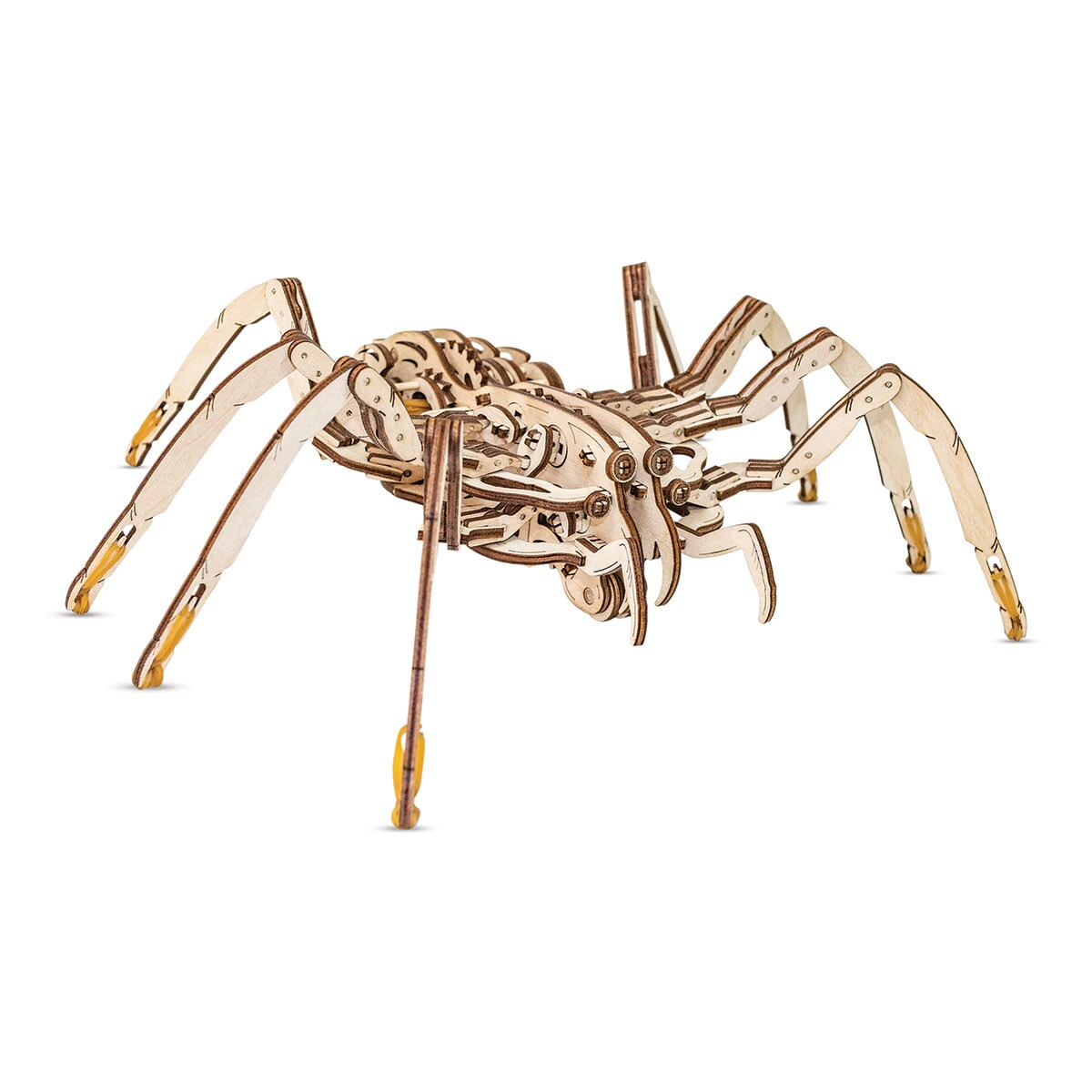 EWA Eco-Wood-Art Animal 3D Wood Kit - Spider