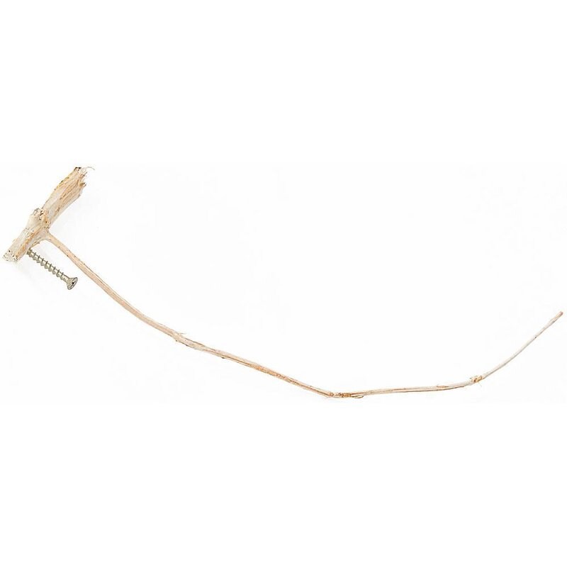 Weatherstick Forecast Predicter Balsam Fir Curves Up in Good Weather Down in Bad