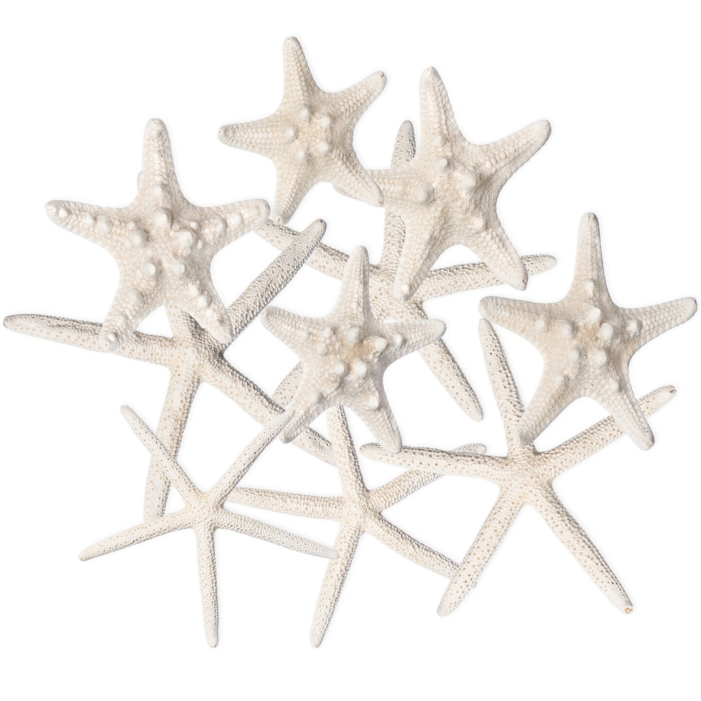 Starfish 10 Pack Assorted White Finger and Knobby Starfish 2&#x22;-6&#x22; for Craft and D&#xE9;cor