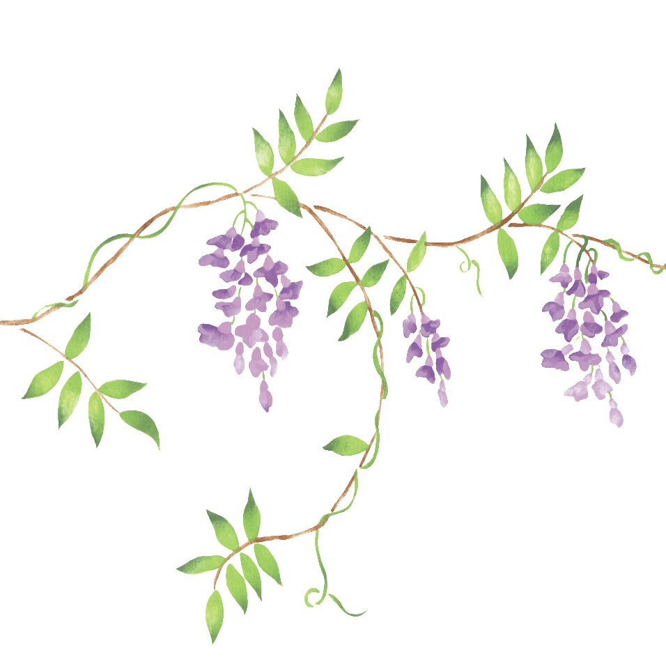 Large Wisteria Vine Wall Stencil | 2962 by Designer Stencils | Floral Stencils | Reusable Art Craft Stencils for Painting on Walls, Canvas, Wood | Reusable Plastic Paint Stencil for Home Makeover | Easy to Use &#x26; Clean Art Stencil