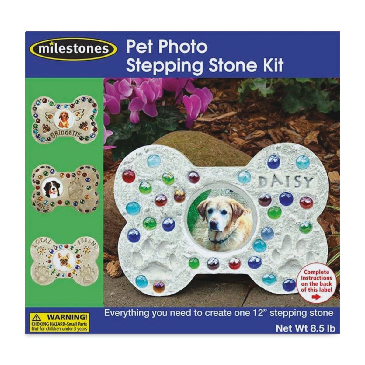 Milestones Mosaic Stepping Stone Kit - Pet Photo