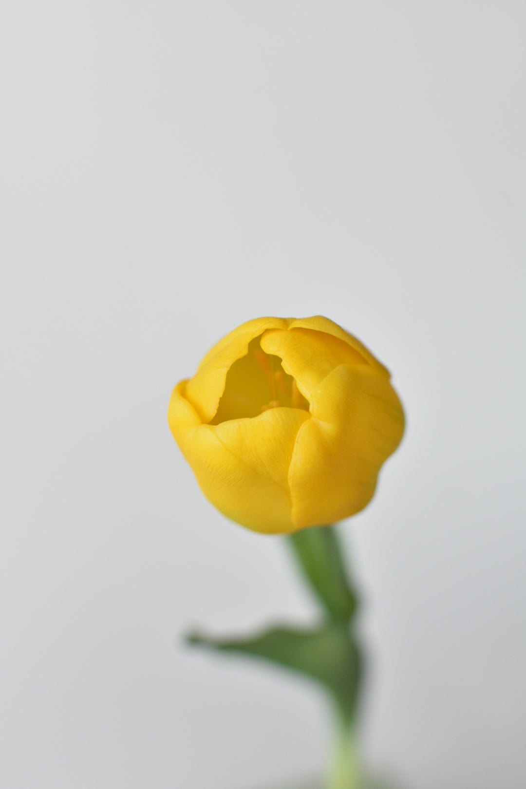 17&#x22; Faux Real Touch Yellow Tullip Stem