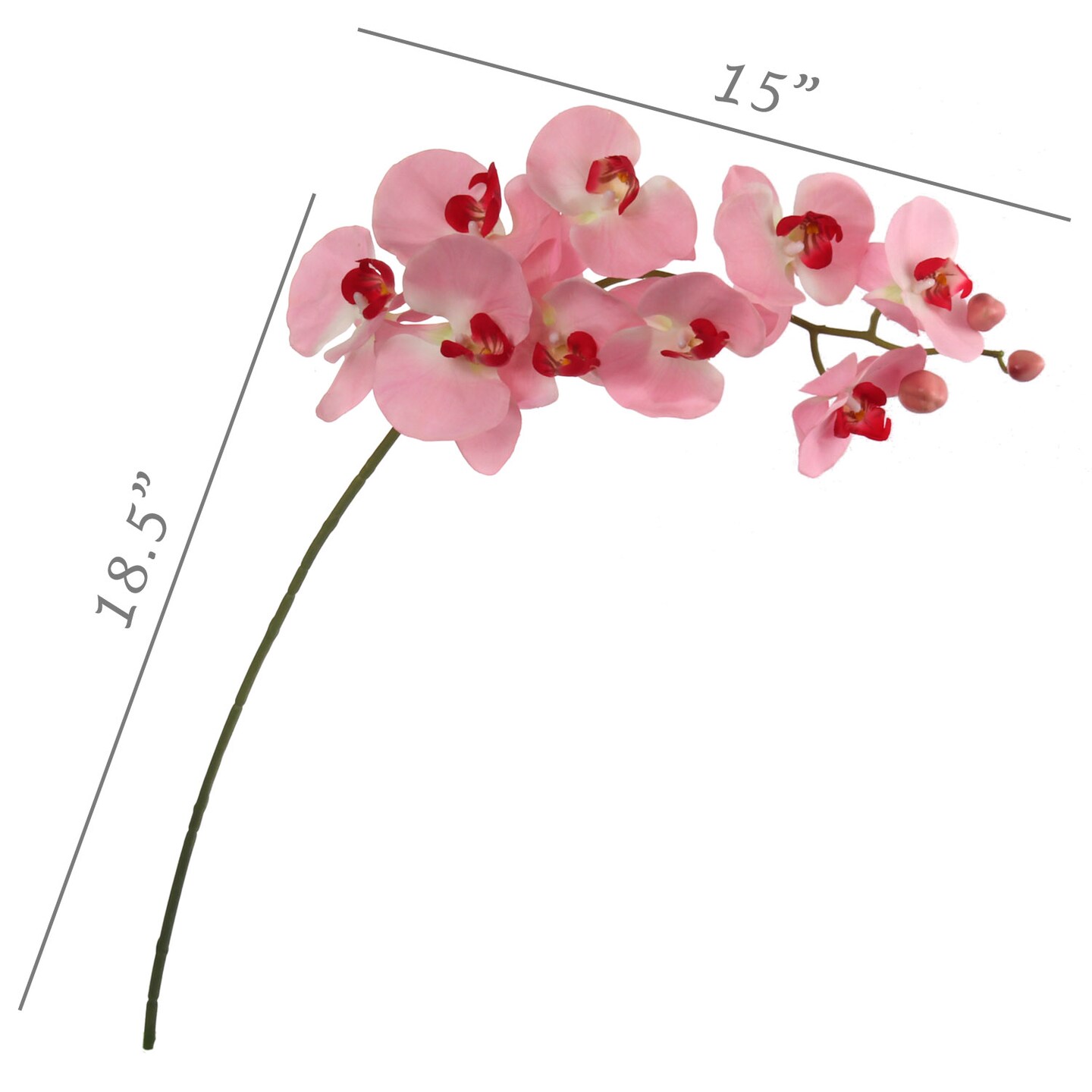Real Touch Phalaenopsis Orchid Stem: Set of 2, 33.5-Inch by Floral Home&#xAE;