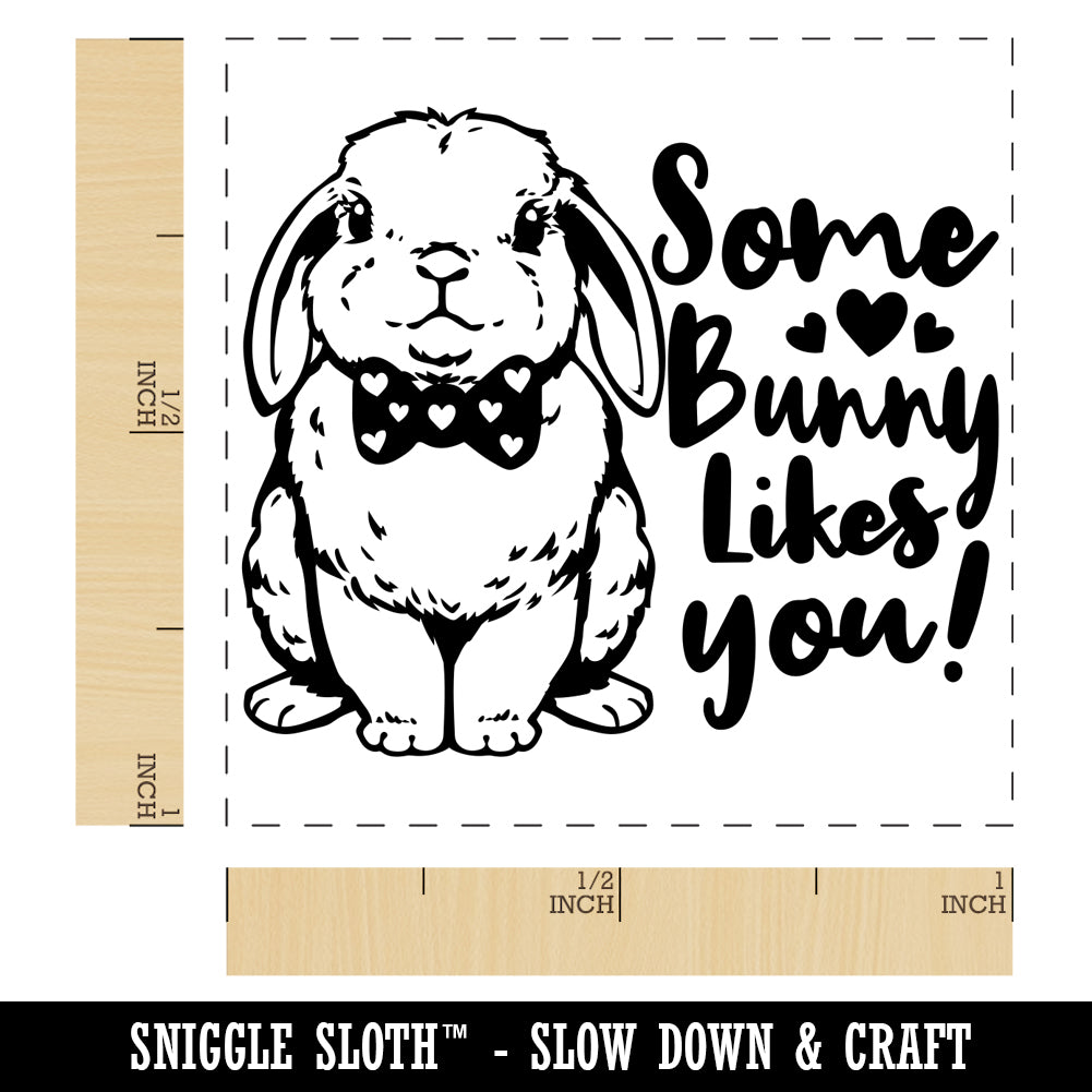 Buy in Bulk Some Bunny Likes You Valentine's Day Rabbit Love Self