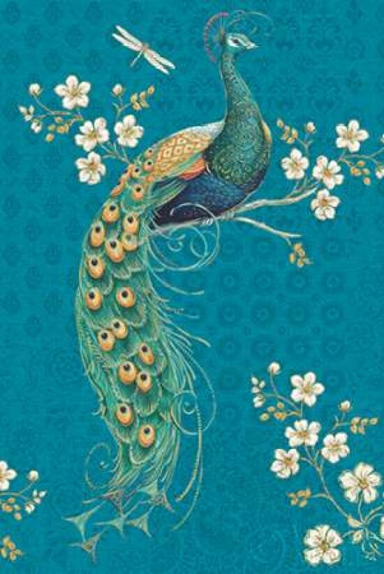 Ornate Peacock IXE Poster Print by Daphne Brissonnet - Item # VARPDX21848