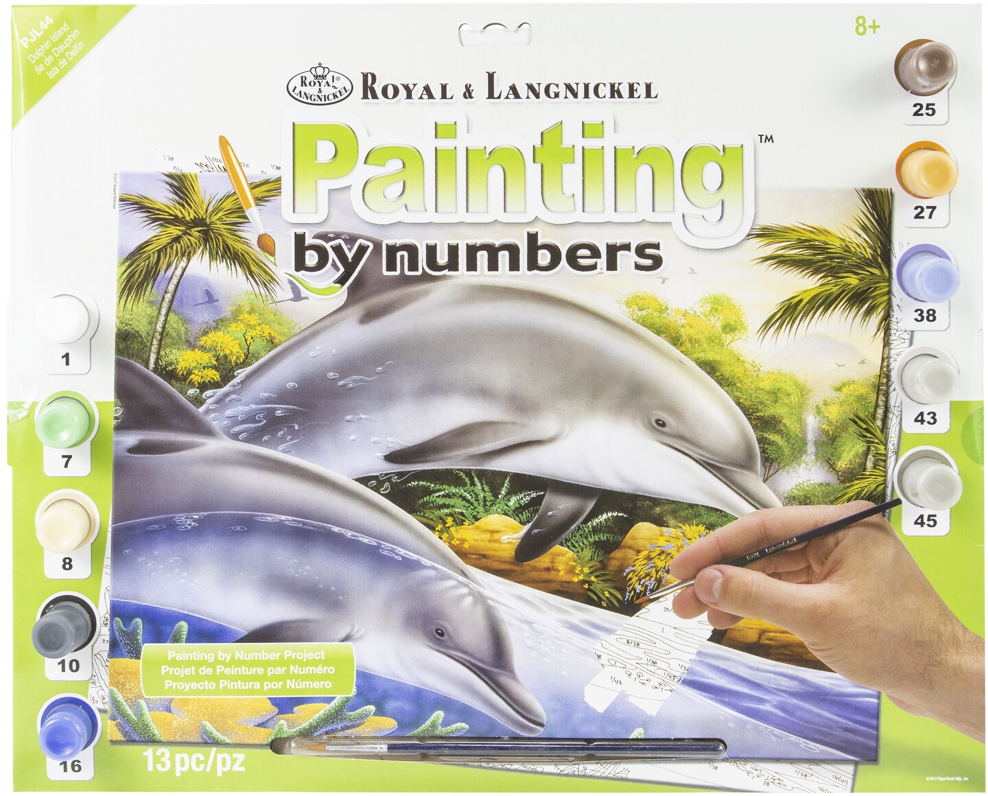 Dolphin Paint by Number