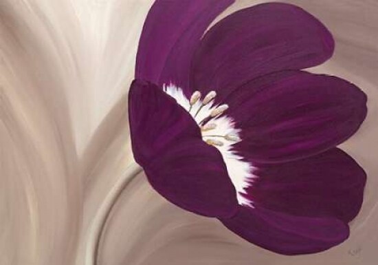 Velvet Poppy Poster Print by Kaye Lake - Item # VARPDX85148