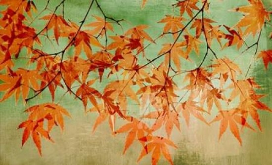 Canopy Poster Print by PI Studio