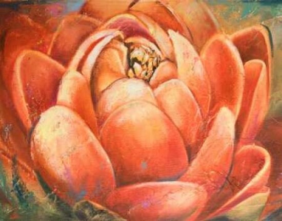 Red Lotus II Poster Print by Patricia Pinto - Item # VARPDX8947