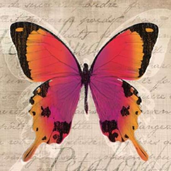 Butterflies III Poster Print by Tandi Venter - Item # VARPDX18104