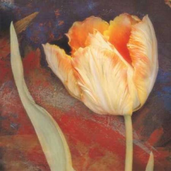 Dusk Tulip II Poster Print by Amy Melious - Item # VARPDXMEL324
