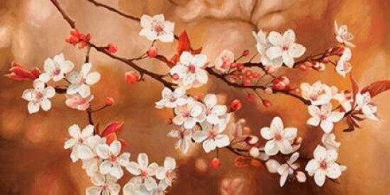 Sakura Poster Print by Jenny Thomlinson - Item # VARPDX2JT3783