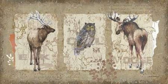 Woodlands II Poster Print by Anita Phillips - Item # VARPDXAP1958