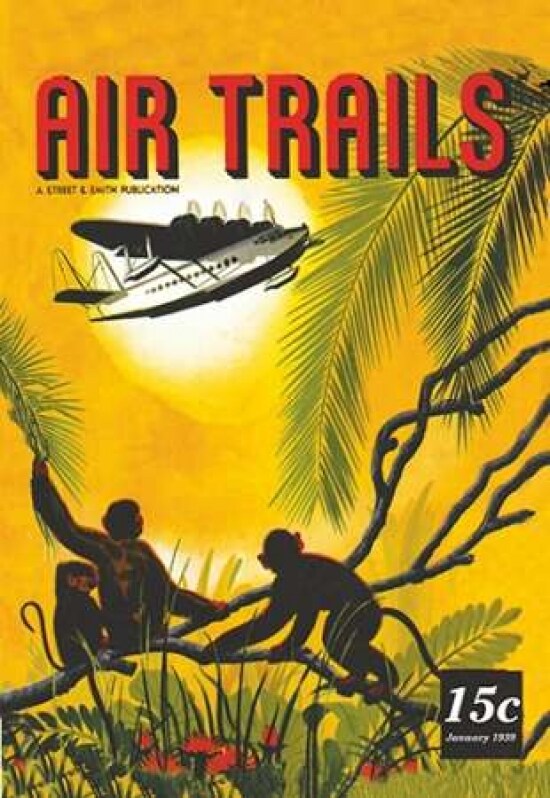 Seaplane Over the Tropics Poster Print by Unknown - Item # VARPDX342899
