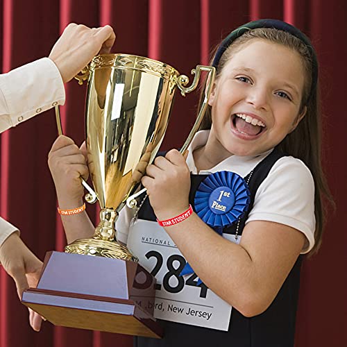 24PCS Star Student Wristbands-Color Star Student Silicone Bracelets,Star Student rubber Bracelets for School Classroom Teacher Recognition Award, Sports Office Education Activities Kids