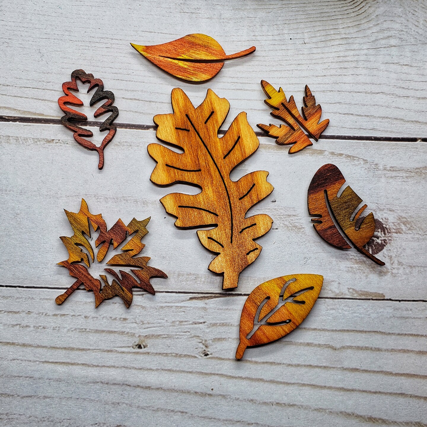 Fall Leaf 1″ Round Glass Magnets (Set of 6) – Shop Iowa