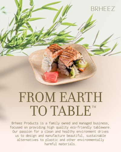 Bamboo Plates made from Palm Leaf - 25 Party Plates - 4 Inch - Eco Friendly Compostable & Biodegradable – Bamboo Disposable Plates Heavy Duty are More Environmentally Friendly than Paper Plates