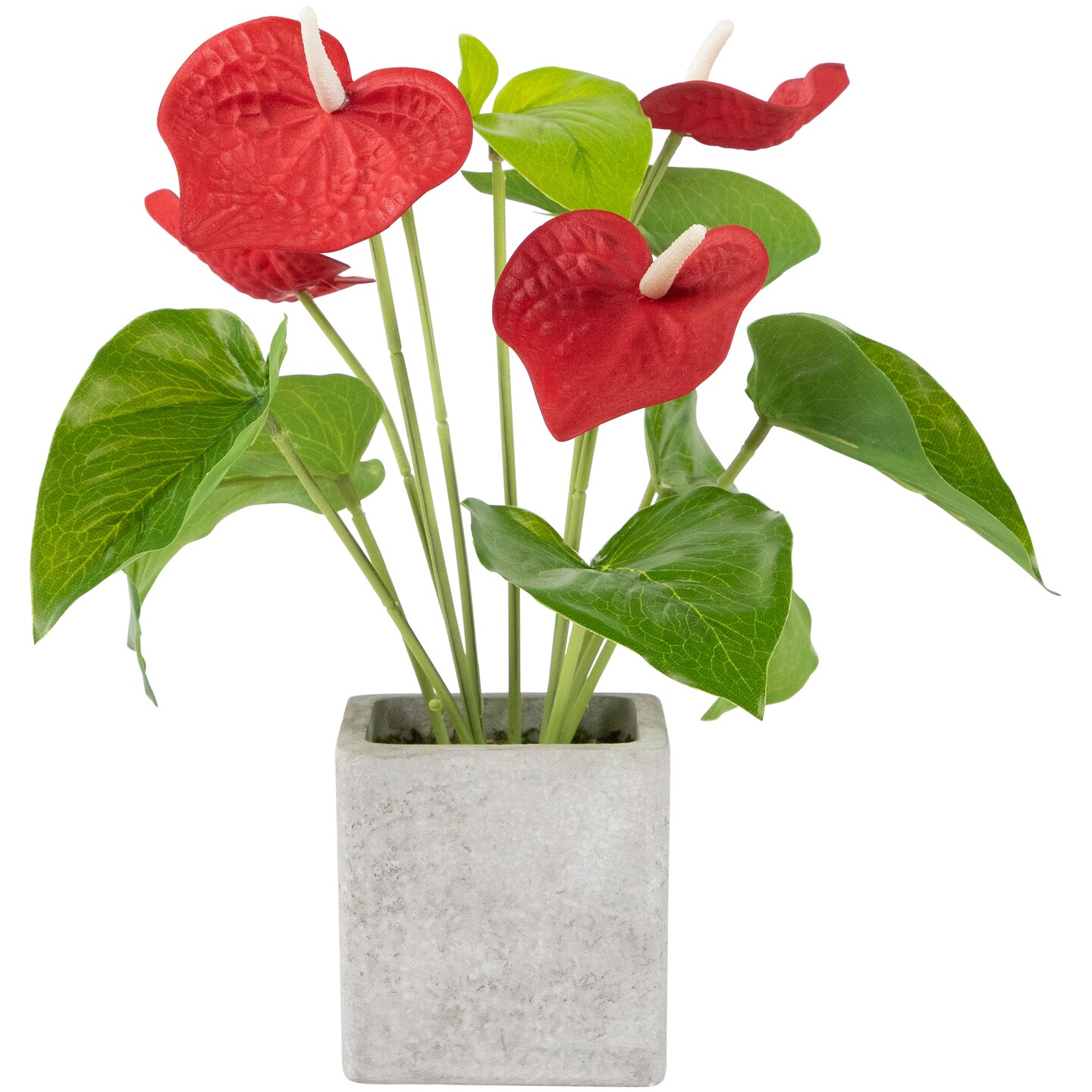 Northlight Anthurium Spring Floral Artificial Plant in a Square Pot - 12" - Red