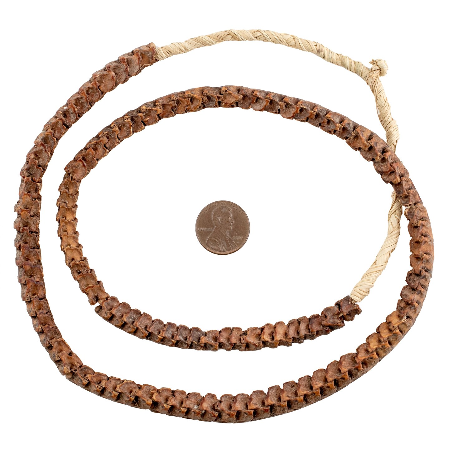 TheBeadChest Real Snake Vertebrae Beads from Africa 7mm Nigeria African Brown Interlocking Bone Large Hole 24 Inch Strand Handmade