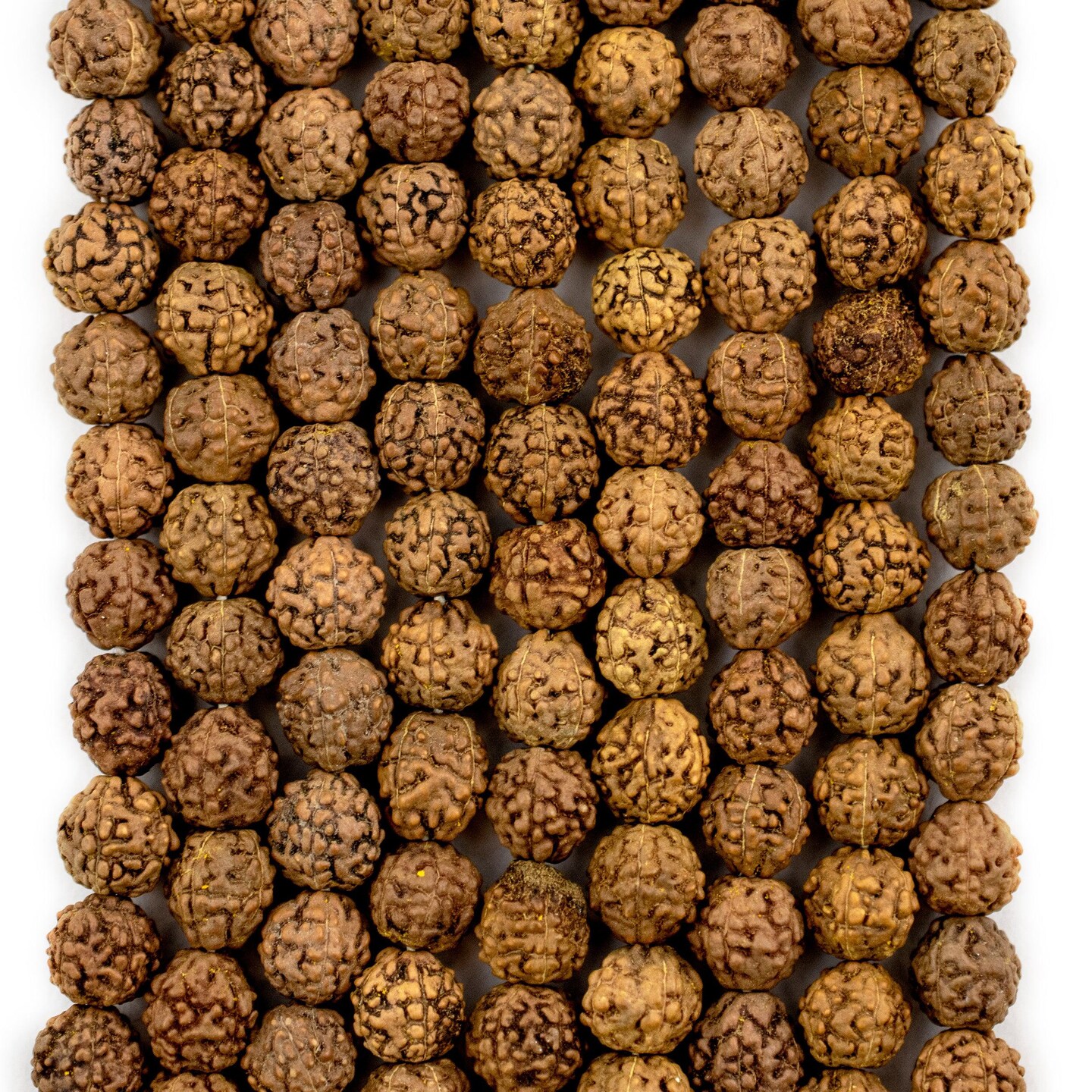 6mm Rudraksha Mala Beads - 108 Authentic Nepali Prayer Rosary Beads - The Bead Chest