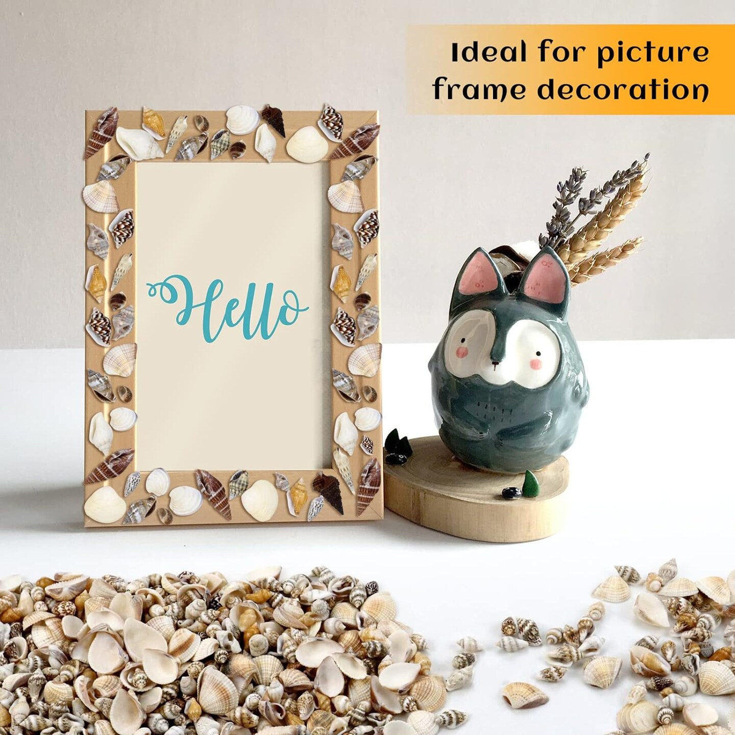 Mini Sea Shells Mixed Ocean Beach Seashells 1000 pcs