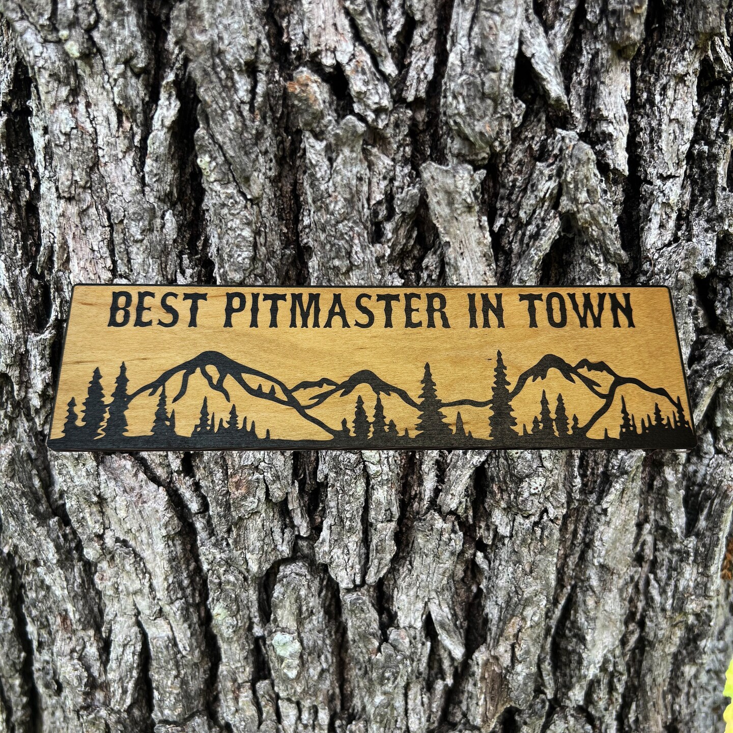 Best Pitmaster in Town Mountain Scene - BLACK Sign 4x12