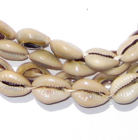 TheBeadChest Kenyan Cowrie Shell Beads 15mm West Africa African White Unusual 24-30 Inch Strand Handmade