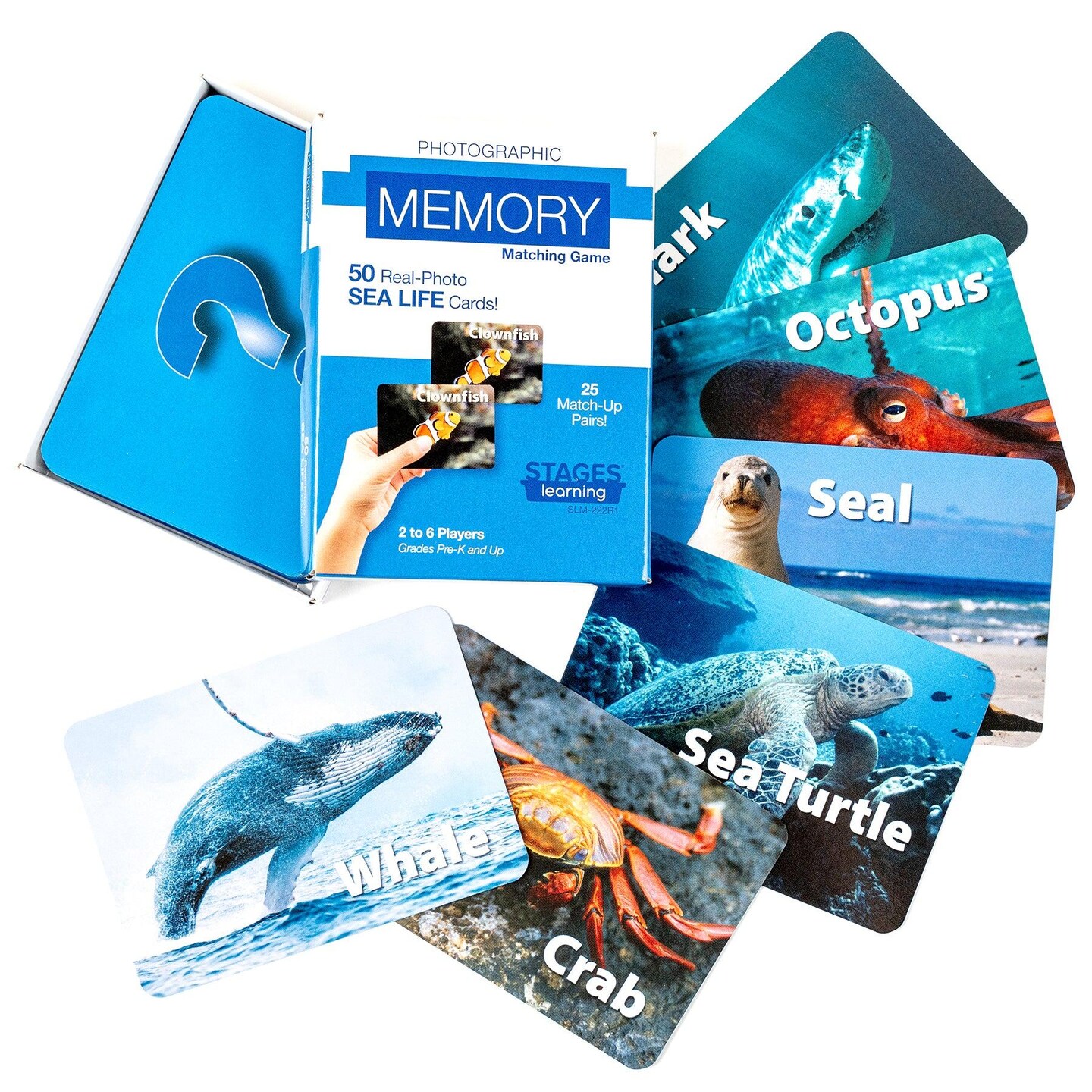 Photographic Memory Matching Game, Sea Life, Pack of 3