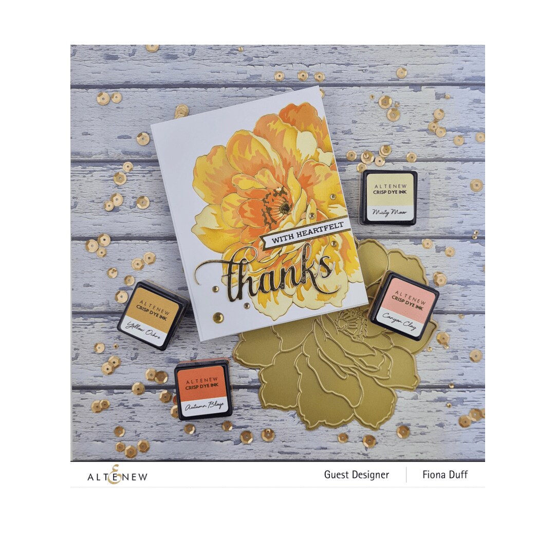 Golden Days Simple Coloring Stencil Set (4 in 1)