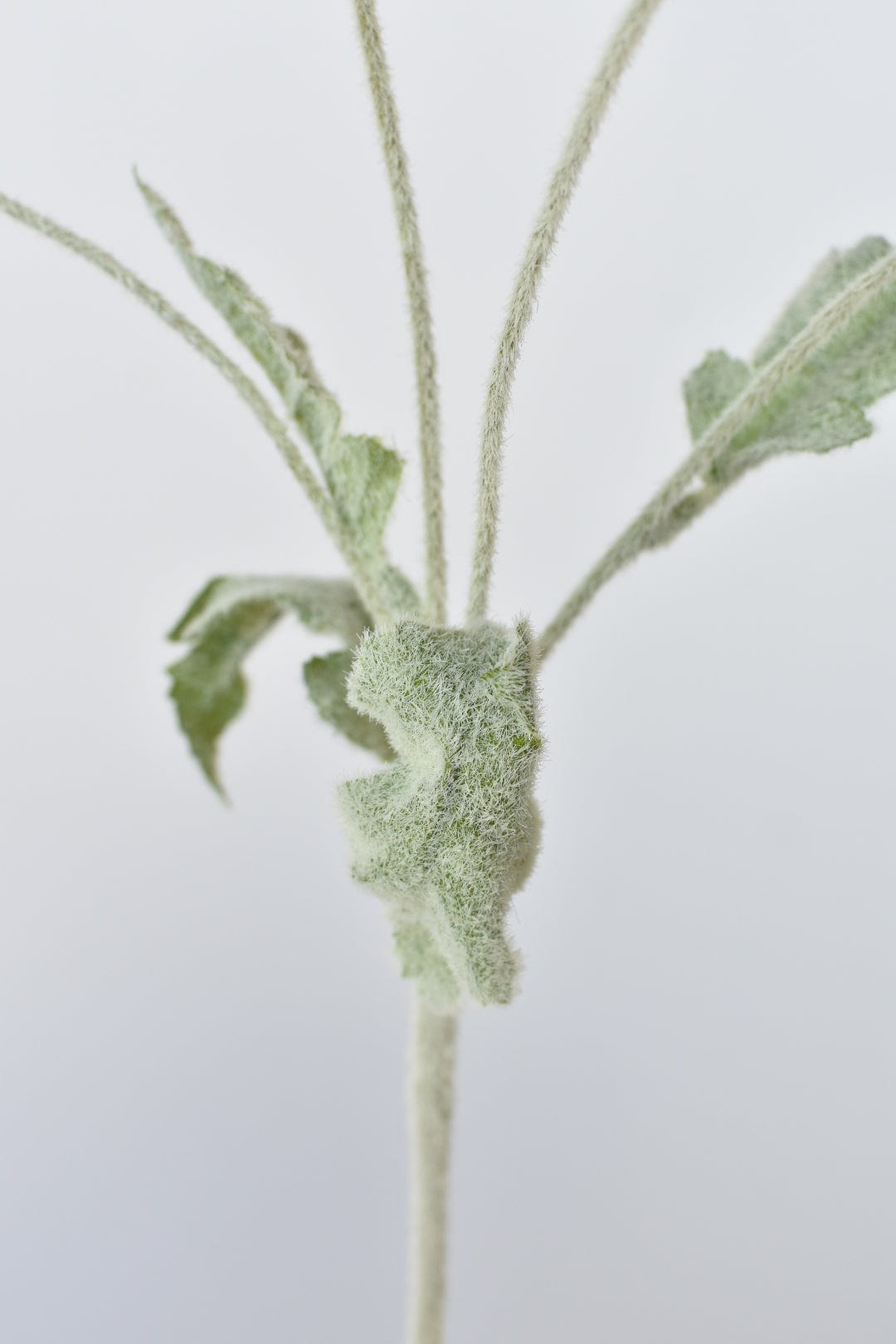 24&#x22; Faux Red Poppy Stem
