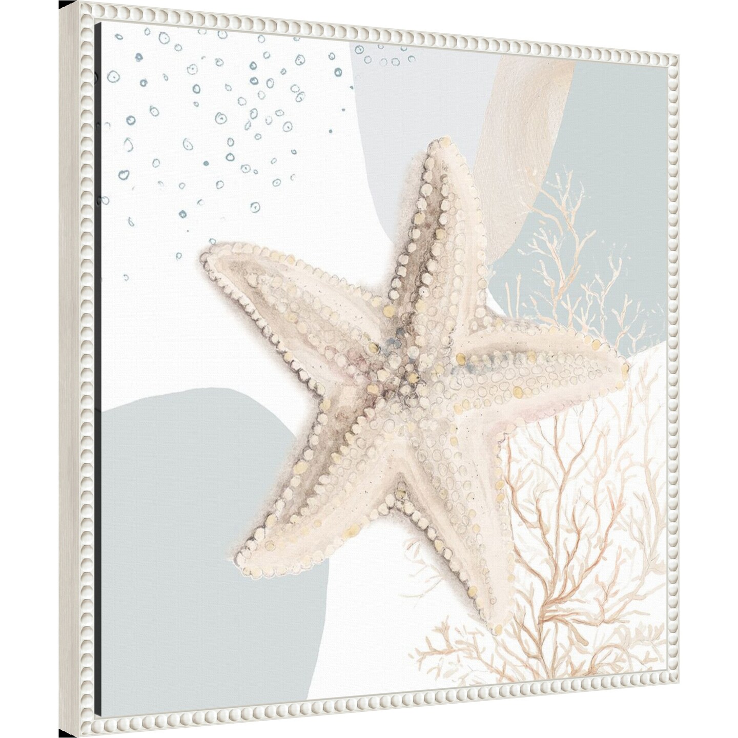 Ocean Oasis Bubbles Starfish by Patricia Pinto Framed Canvas Wall Art