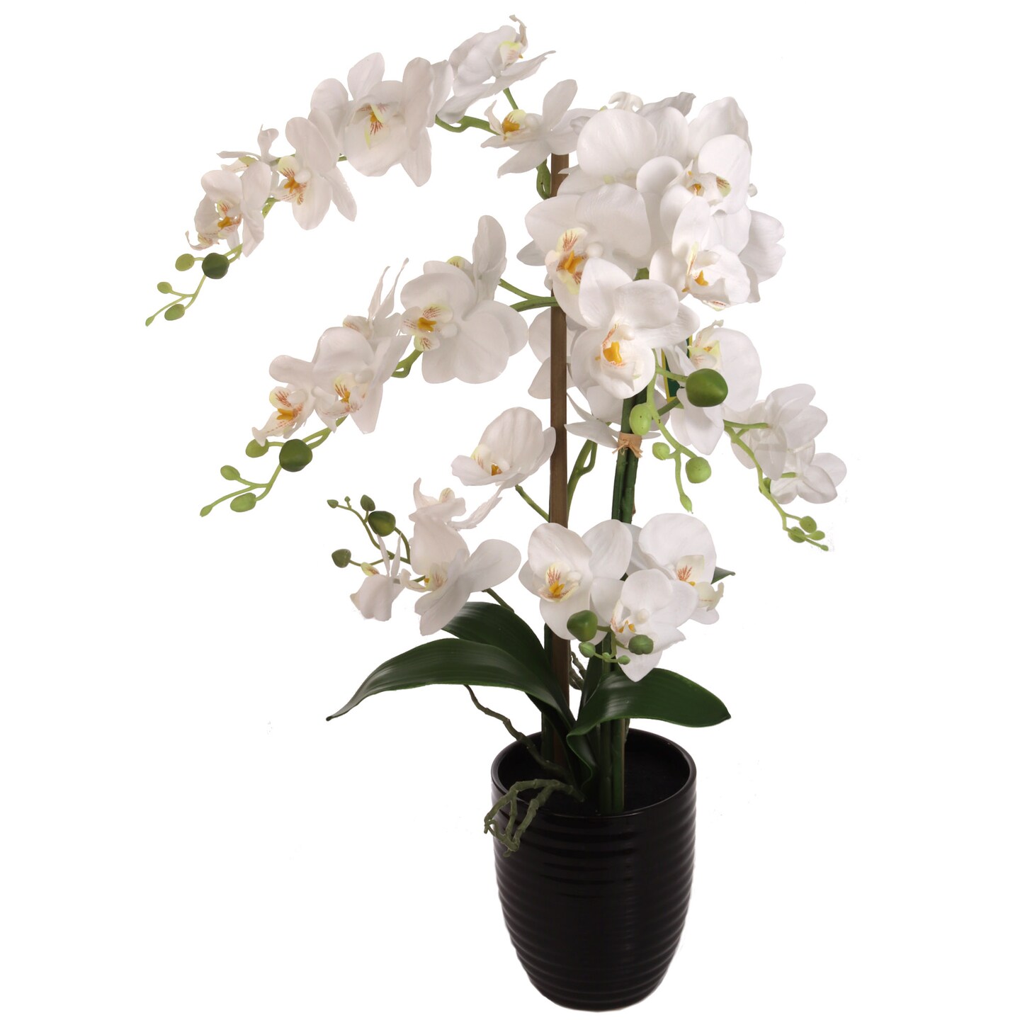 White Phalaenopsis Orchid Flowers in Black Ceramic Vase by Floral Home&#xAE;