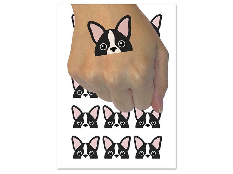 Peeking Boston Terrier Dog Temporary Tattoo Water Resistant Fake Body Art Set Collection (1 Sheet)