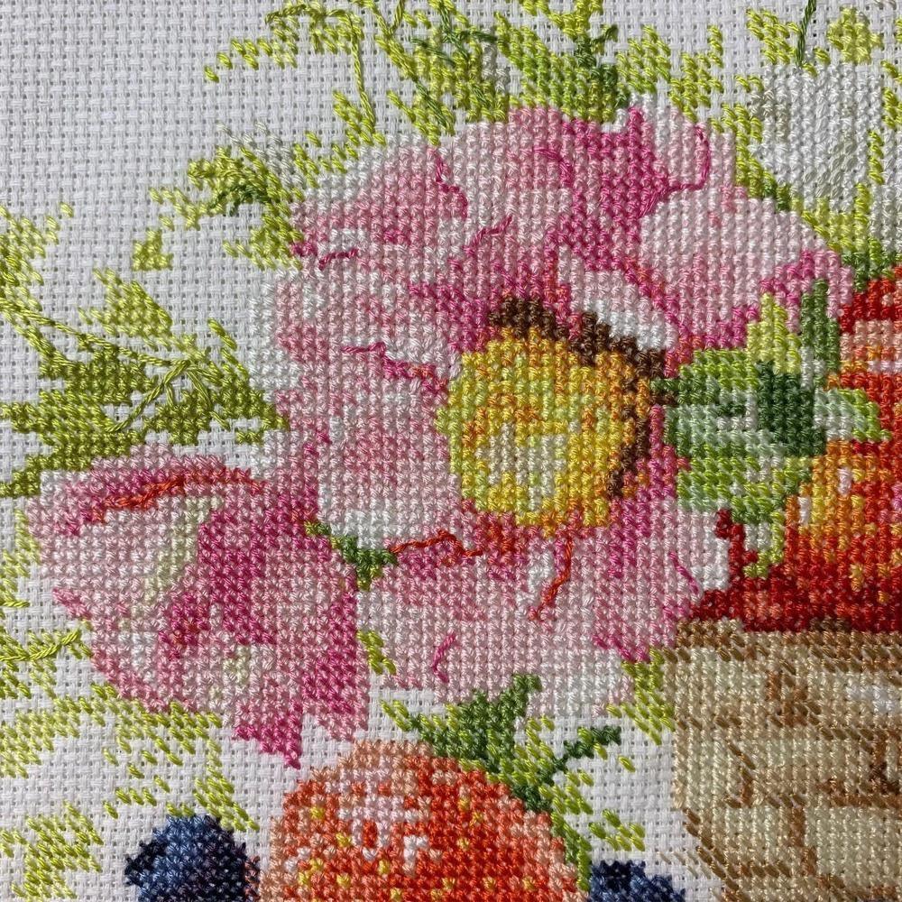 Strawberries 5-14 Counted Cross-Stitch Kit
