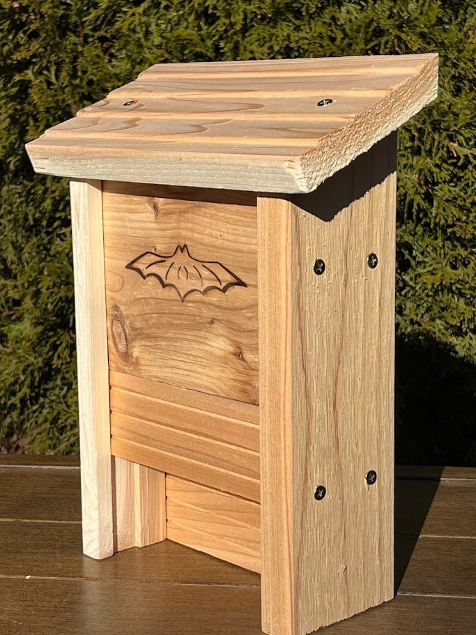 Kids DIY Bat House Kit