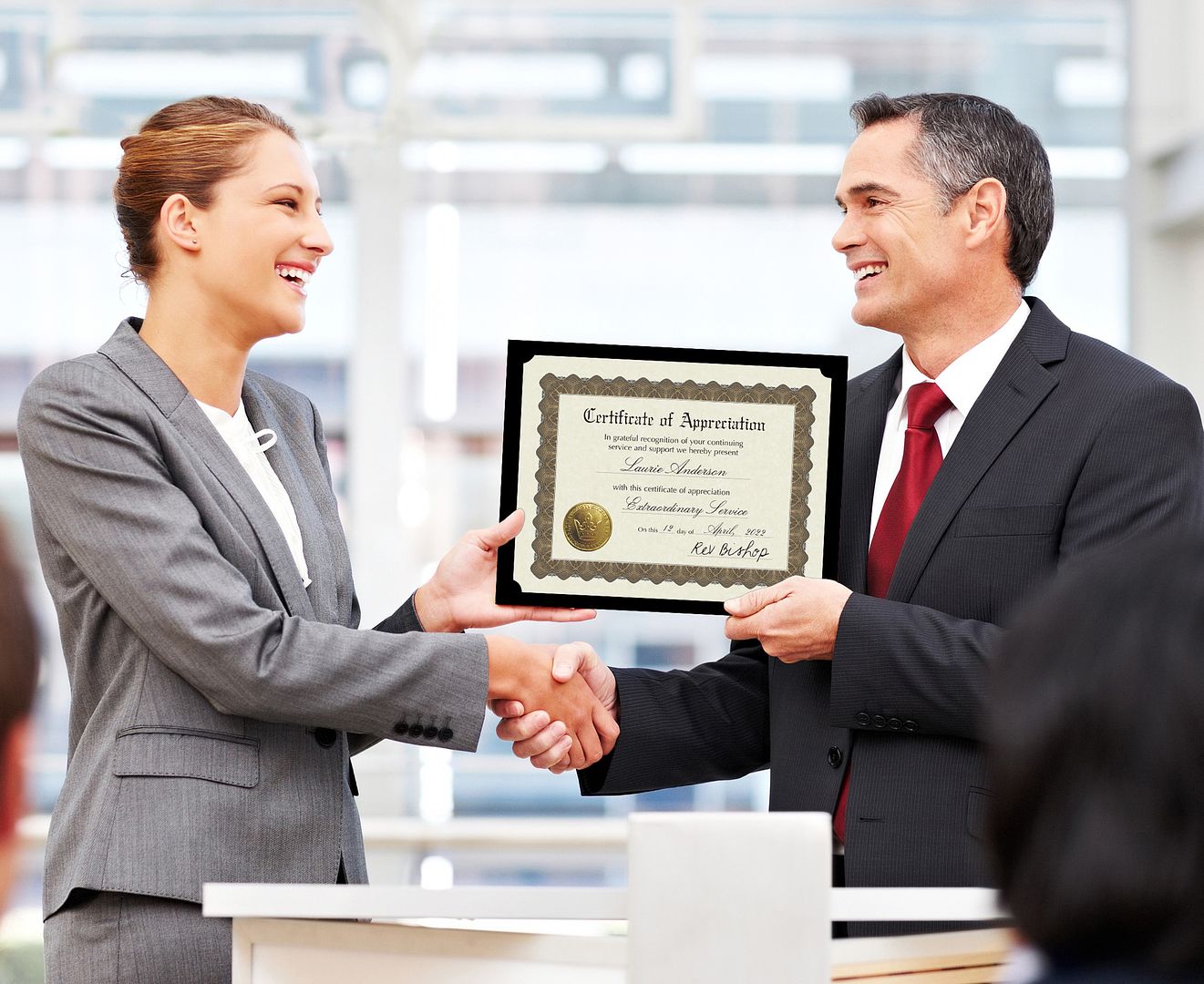 Great Papers! Parchment Stock Fill-In Certificates with Metallic Border, Appreciation, 8.5" x 11", Not Printer Compatible, 6 Count