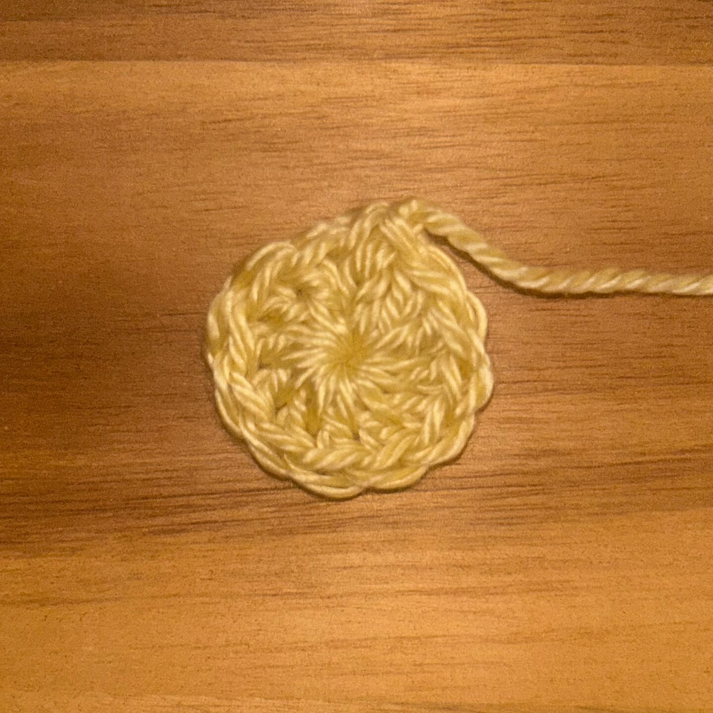 Crochet Daisy Granny Square image 2