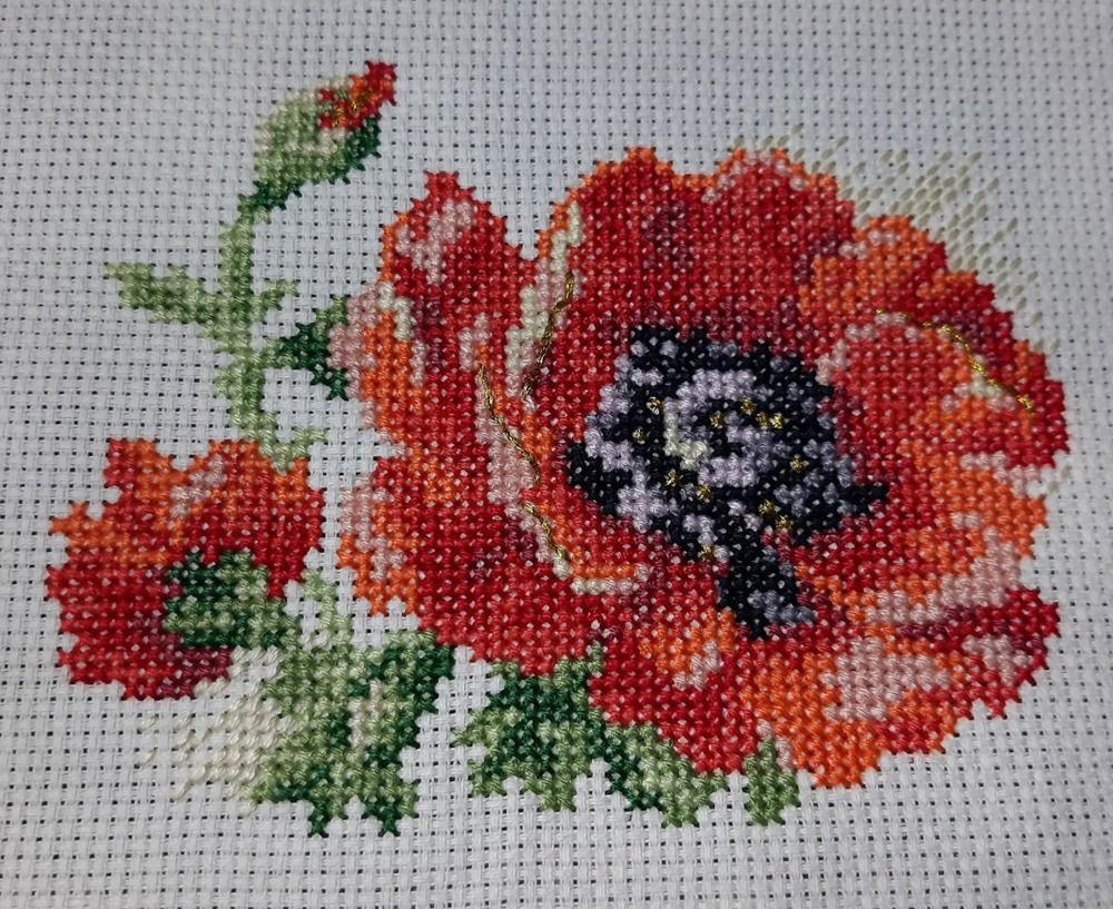Poppy 0-80 Counted Cross-Stitch Kit
